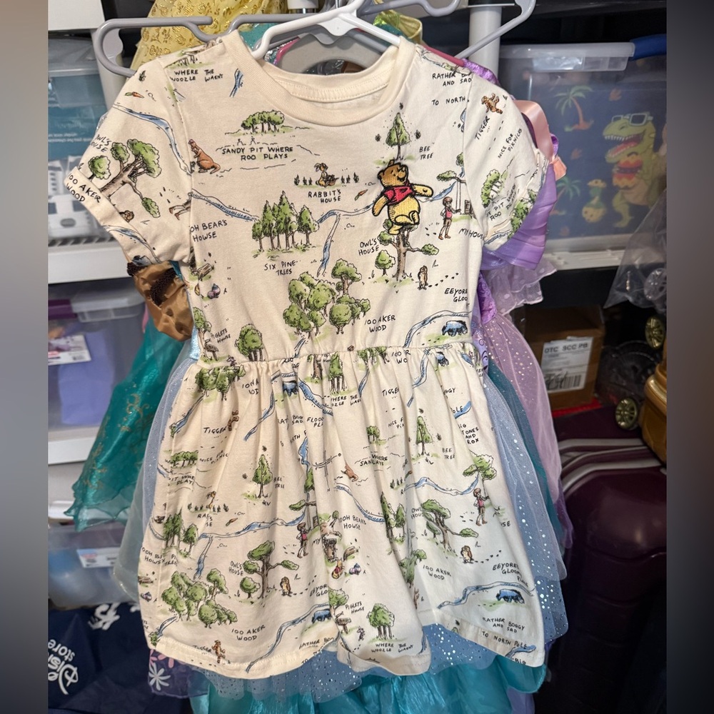 Winnie the Pooh 100 Acre Wood Dress | Girls Size 4 | Directly from Disney